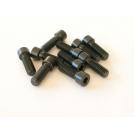 Set tornillo manguet M5x16 10u