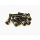 Set tornillo manguet M5x14 10u