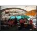 Galeria de imagenes Europeo Austria